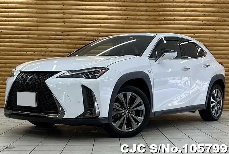 Lexus / UX 250H 2019