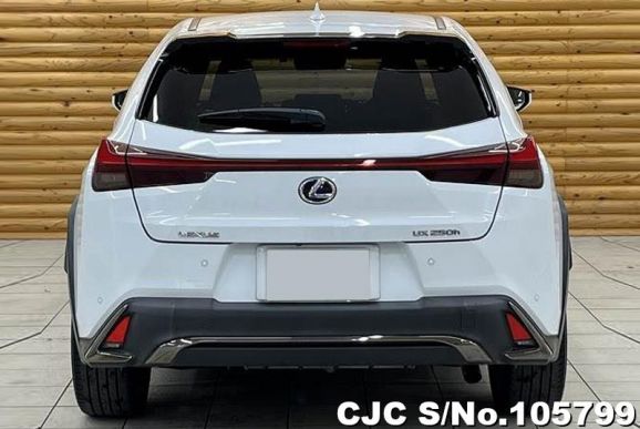 Lexus UX 250H in White for Sale Image 2