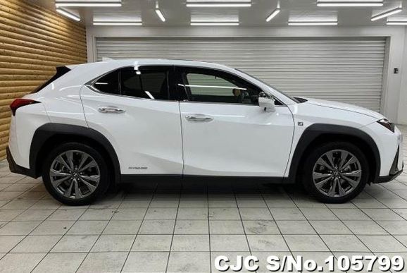 Lexus UX 250H in White for Sale Image 3