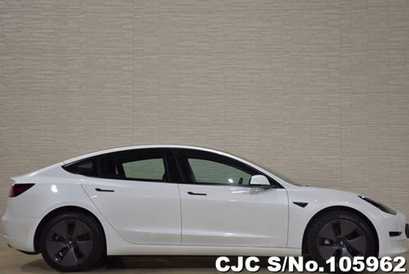 Tesla Model 3 in White for Sale Image 4