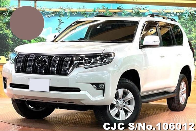 Toyota / Land Cruiser Prado 2021