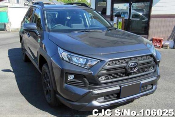 Toyota Rav4 in Gray Metallic for Sale Image 0