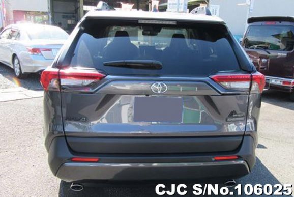 Toyota Rav4 in Gray Metallic for Sale Image 5