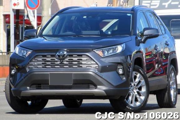 Toyota Rav4 in Gray Metallic for Sale Image 0