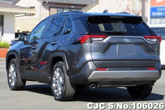 Toyota Rav4 in Gray Metallic for Sale Image 1