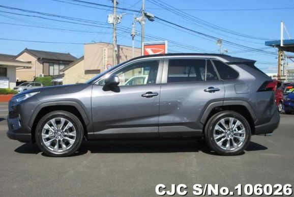 Toyota Rav4 in Gray Metallic for Sale Image 6