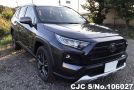 Toyota Rav4 in Gray Metallic for Sale Image 0