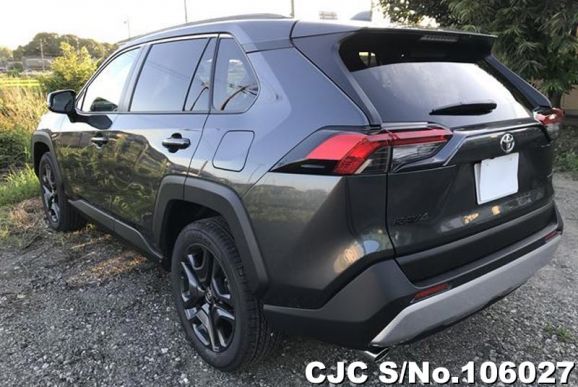 Toyota Rav4 in Gray Metallic for Sale Image 1