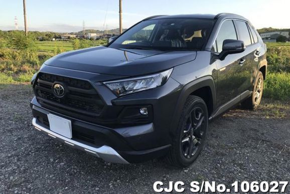 Toyota Rav4 in Gray Metallic for Sale Image 3