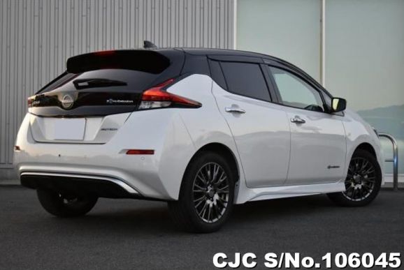 Nissan Leaf in Pure White for Sale Image 2