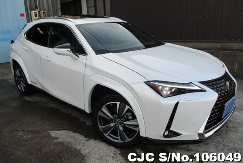 Lexus / UX 300e 2021