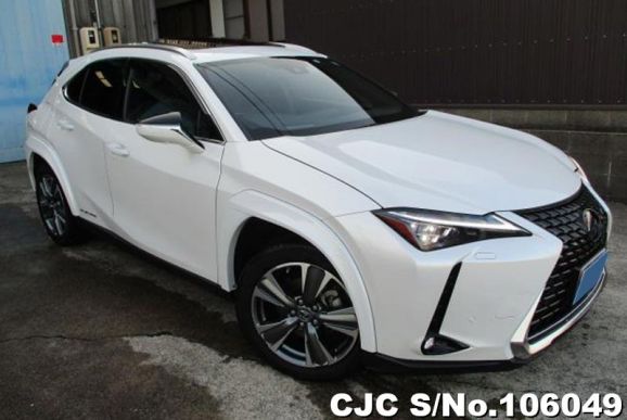 Lexus UX 300e in Pearl for Sale Image 0