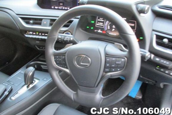 Lexus UX 300e in Pearl for Sale Image 13