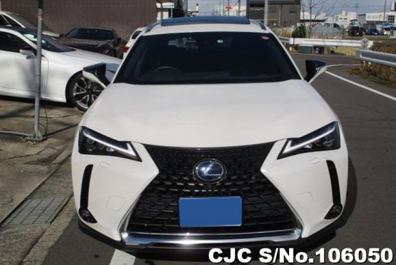 Lexus UX 300e in Pearl for Sale Image 2