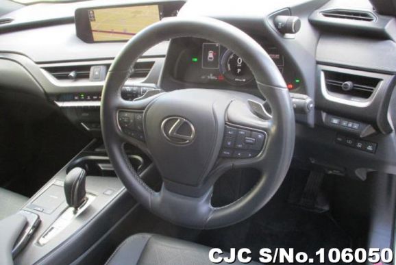 Lexus UX 300e in Pearl for Sale Image 12