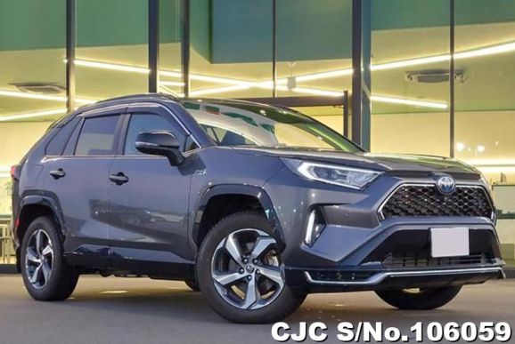 Toyota Rav4 in Gray Metallic for Sale Image 0