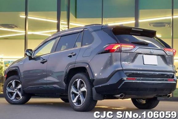 Toyota Rav4 in Gray Metallic for Sale Image 1