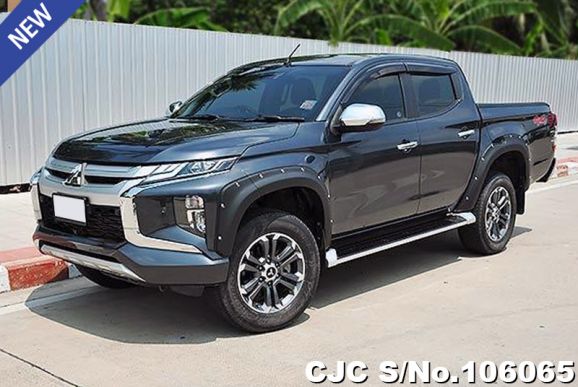 Mitsubishi Triton in Gray for Sale Image 0