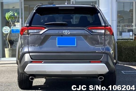 Toyota Rav4 in Gray for Sale Image 2