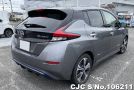 Nissan Leaf in Gray for Sale Image 1