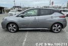 Nissan Leaf in Gray for Sale Image 6