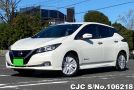 Nissan Leaf in Pearl White for Sale Image 0