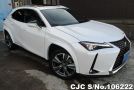 Lexus UX 300e in Pearl for Sale Image 0