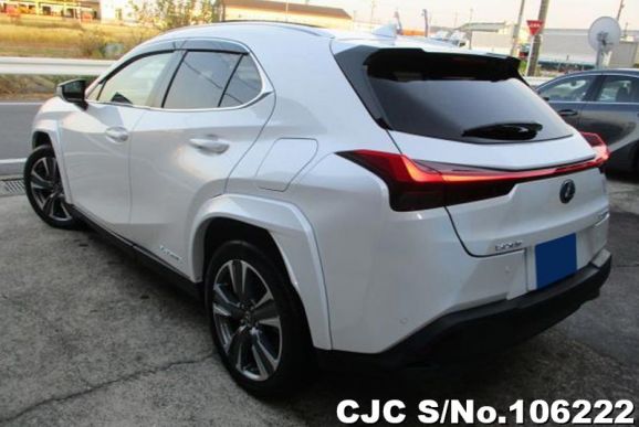 Lexus UX 300e in Pearl for Sale Image 1