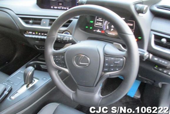 Lexus UX 300e in Pearl for Sale Image 14