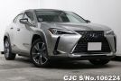 Lexus UX 300e in Sonic Titanium for Sale Image 0