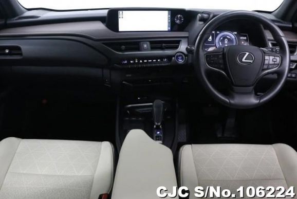 Lexus UX 300e in Sonic Titanium for Sale Image 3