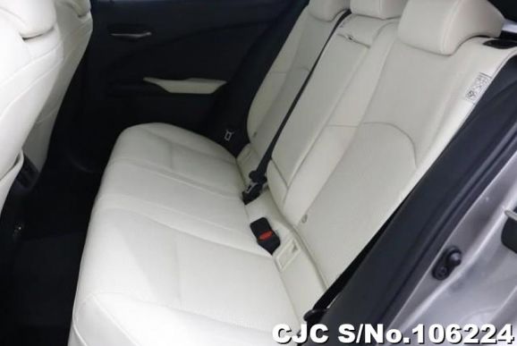 Lexus UX 300e in Sonic Titanium for Sale Image 5