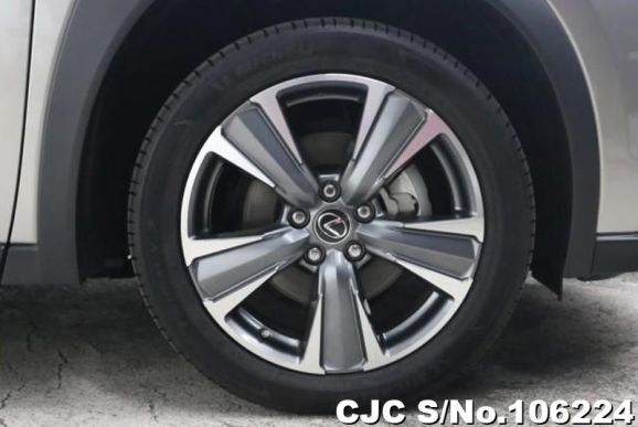 Lexus UX 300e in Sonic Titanium for Sale Image 8