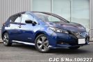 Nissan Leaf in Blue for Sale Image 0