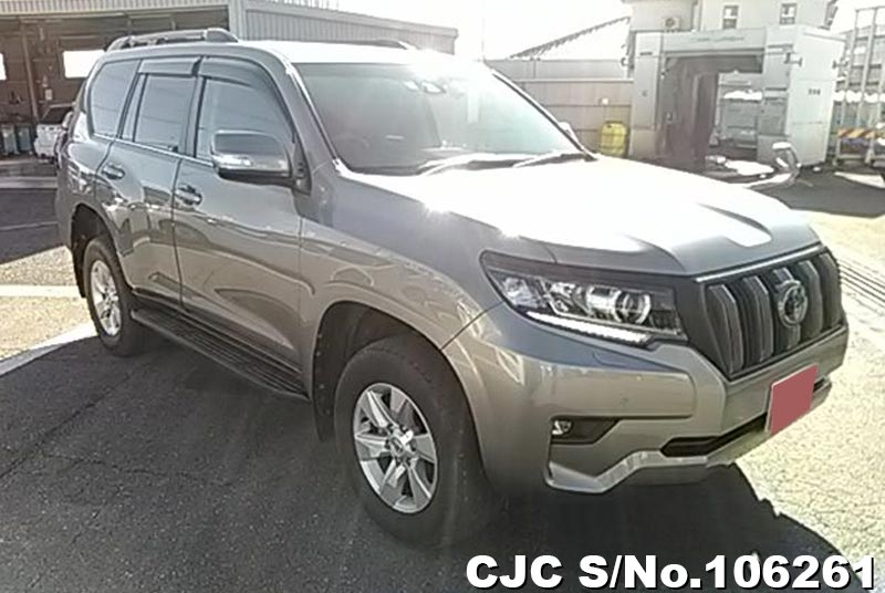 Toyota / Land Cruiser Prado 2019