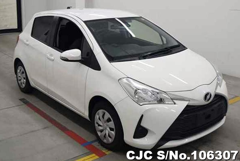 Toyota / Vitz 2019