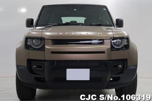 Land Rover Defender in Beige for Sale Image 4