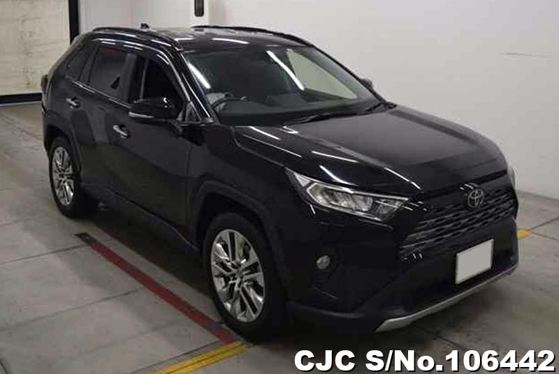 Toyota / Rav4 2019