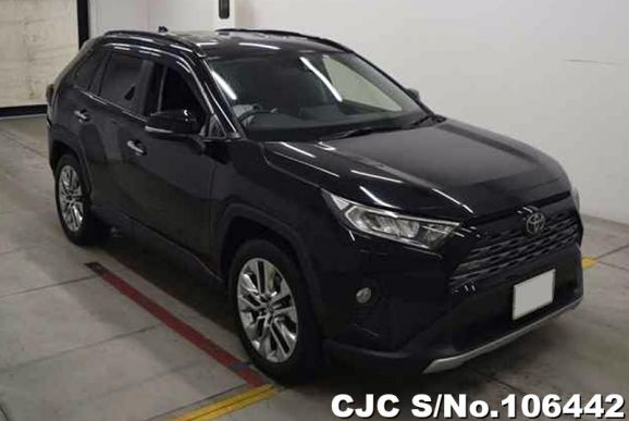 Toyota Rav4 in Black for Sale Image 0