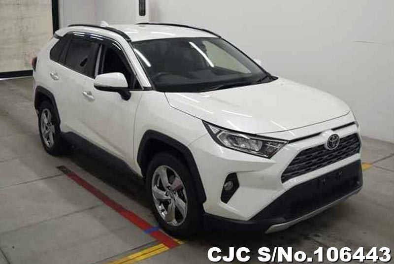 Toyota / Rav4 2019