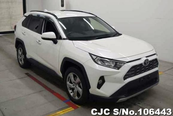 Toyota Rav4 in White for Sale Image 0