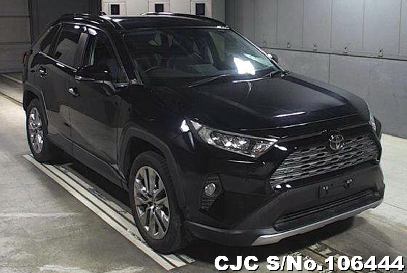 Toyota / Rav4 2019