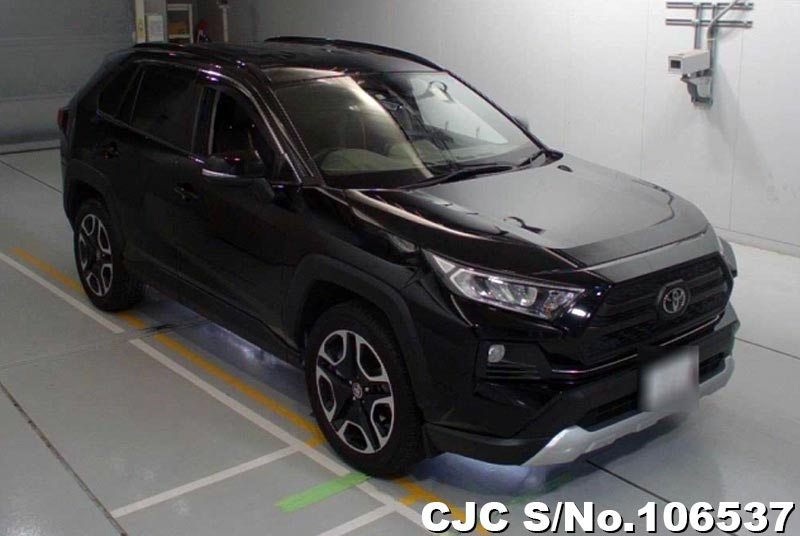 Toyota / Rav4 2020