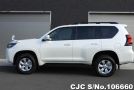 Toyota Land Cruiser Prado in Pearl for Sale Image 7