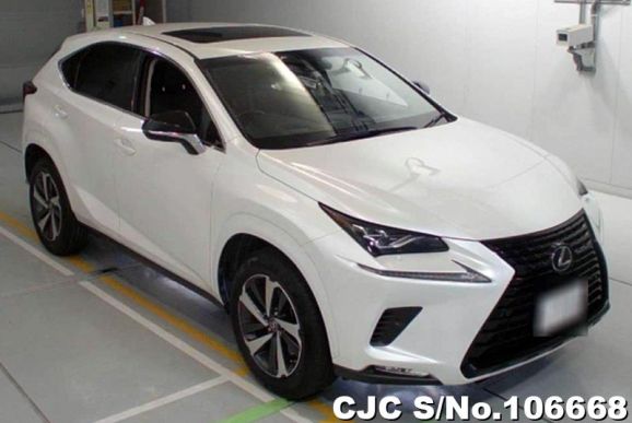 Lexus NX 300 in White for Sale Image 0