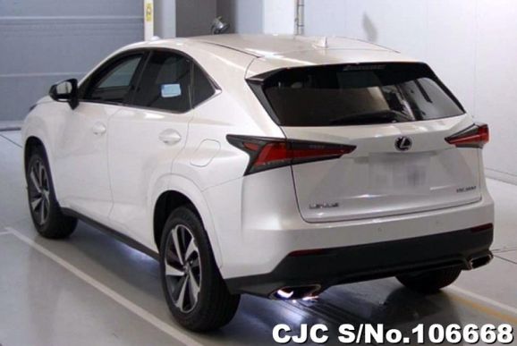 Lexus NX 300 in White for Sale Image 1