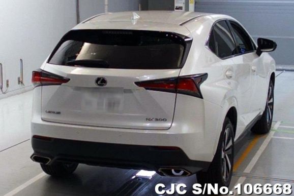 Lexus NX 300 in White for Sale Image 2