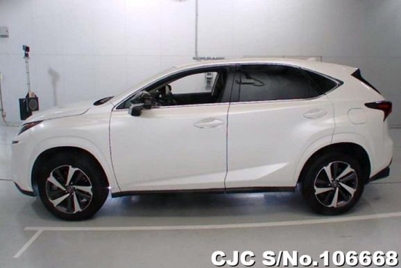 Lexus NX 300 in White for Sale Image 5