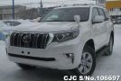 Toyota Land Cruiser Prado in Pearl for Sale Image 2