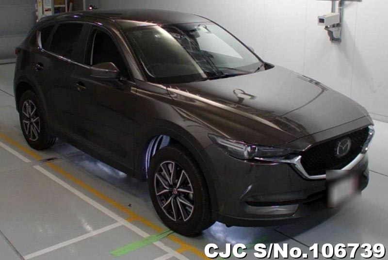 Mazda / CX-5 2019